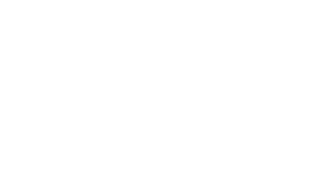 travellerlogo